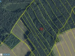 Prodej lesa, Zábřezí-Řečice, 18846 m2