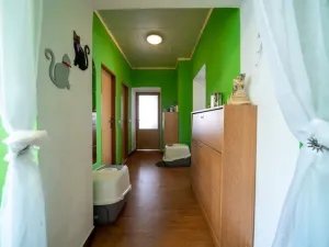 Prodej činžovního domu, Libina, 863 m2