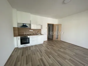 Pronájem bytu 1+kk, České Budějovice, 33 m2