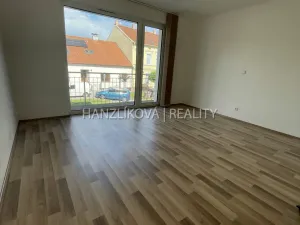 Pronájem bytu 1+kk, České Budějovice, 33 m2