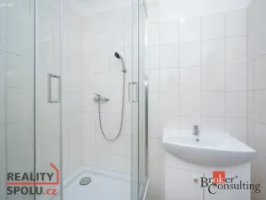 Pronájem bytu 2+kk, Mlékojedy, 50 m2