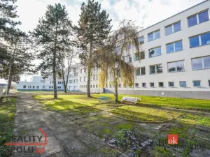 Pronájem bytu 2+kk, Mlékojedy, 50 m2