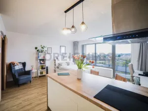 Prodej bytu 1+kk, Olomouc, Loudova, 36 m2