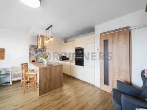 Prodej bytu 1+kk, Olomouc, Loudova, 36 m2