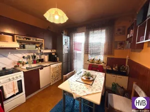 Prodej bytu 3+1, Písek, Družstevní, 79 m2