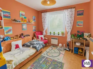 Prodej bytu 3+1, Písek, Družstevní, 79 m2