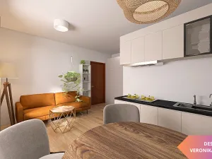 Pronájem bytu 1+kk, Olomouc, Pavlovická, 22 m2