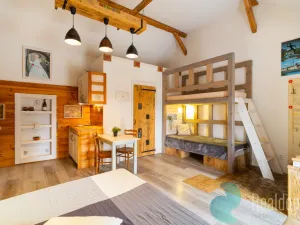 Prodej apartmánu, Malšín - Ostrov, 350 m2