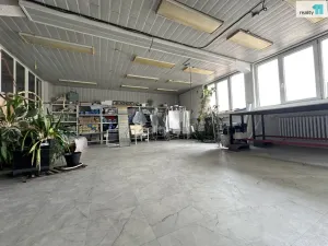 Pronájem výrobních prostor, Napajedla, 2. května, 204 m2