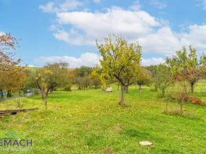 Pronájem rodinného domu, Traplice, 220 m2