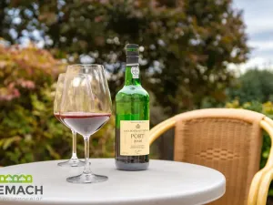 Pronájem rodinného domu, Traplice, 220 m2