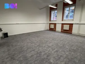 Pronájem kanceláře, Praha, Františka Křížka, 43 m2