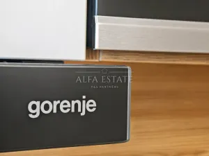 Prodej bytu 3+kk, Karlovy Vary - Drahovice, Východní, 61 m2