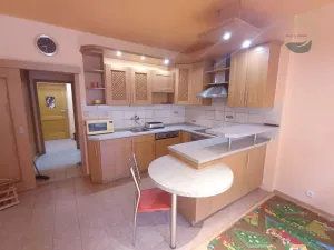 Pronájem bytu 1+kk, Štěnovice, Skalní, 40 m2