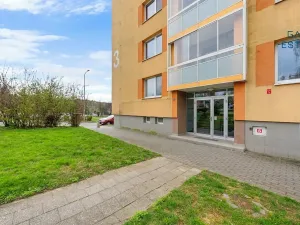 Prodej bytu 1+1, Brno, Novoměstská, 28 m2