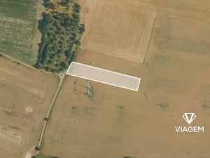 Prodej pole, Choltice, 2392 m2