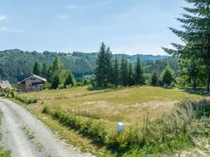 Prodej pozemku pro bydlení, Zábřeh - Dolní Bušínov, 829 m2