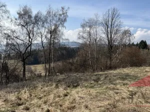 Prodej chalupy, Stachy - Úbislav, 150 m2