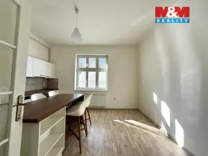 Pronájem bytu 1+1, Ostrava - Moravská Ostrava, Tyršova, 48 m2