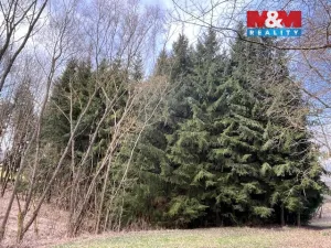 Prodej lesa, Košťálov - Kundratice, 4244 m2