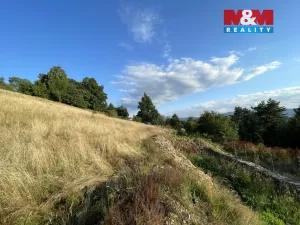 Prodej pozemku pro bydlení, Chrastava - Horní Vítkov, 1872 m2