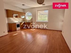 Pronájem bytu 2+kk, Zlín, Voženílkova, 48 m2