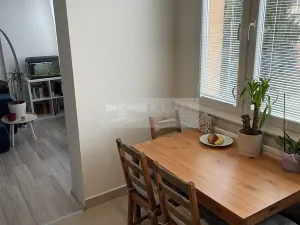 Prodej bytu 3+1, Mladá Boleslav, U stadionu, 86 m2