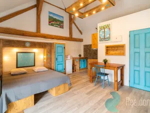 Prodej chalupy, Malšín - Ostrov, 350 m2