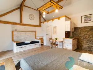 Prodej chalupy, Malšín - Ostrov, 360 m2