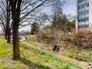 Prodej bytu 2+1, Vysoké Mýto, Českých bratří, 66 m2