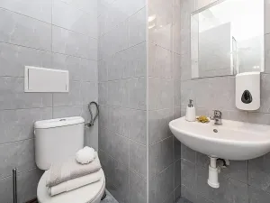 Pronájem pokoje, Plzeň, Riegrova, 190 m2