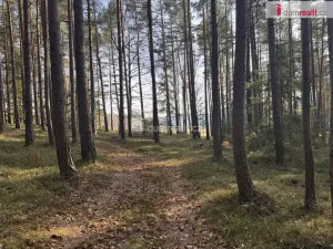 Prodej lesa, Nebahovy - Jelemek, 11340 m2