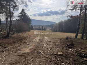 Prodej lesa, Nebahovy - Jelemek, 11340 m2