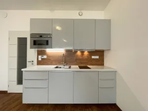 Pronájem bytu 1+kk, Olomouc - Nové Sady, Rokycanova, 35 m2