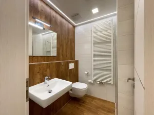 Pronájem bytu 1+kk, Olomouc - Nové Sady, Rokycanova, 35 m2