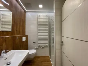 Pronájem bytu 1+kk, Olomouc - Nové Sady, Rokycanova, 35 m2