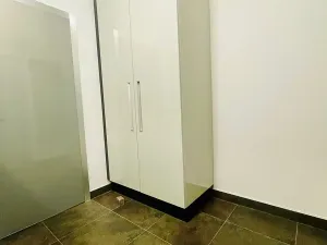 Pronájem kanceláře, Brno, Cihlářská, 38 m2