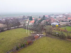 Prodej podílu pozemku, Třebíz, 161602 m2