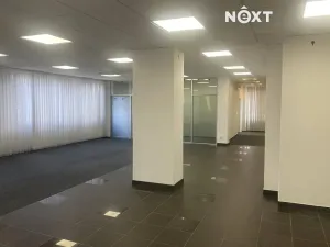 Pronájem obchodního prostoru, Tábor, Světlogorská, 163 m2