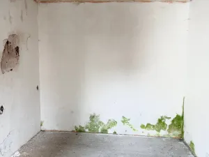 Prodej rodinného domu, Náchod, Neumannova, 110 m2