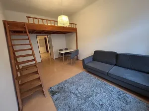 Pronájem bytu 1+1, Praha - Žižkov, Seifertova, 32 m2