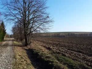 Prodej pozemku pro bydlení, Libina, 1180 m2