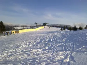 Prodej bytu 3+1, Branná, 83 m2