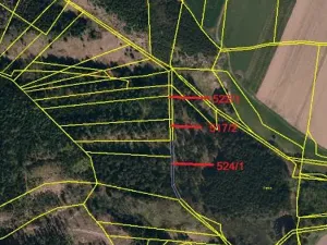 Prodej lesa, Otín, 829 m2