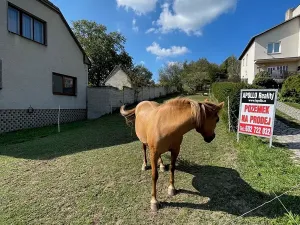 Prodej pozemku pro bydlení, Pašovice, 1279 m2