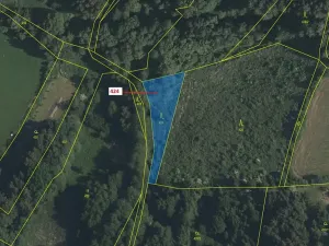 Dražba lesa, Strmilov, 967 m2