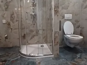 Pronájem bytu 1+1, Plzeň, Stehlíkova, 57 m2