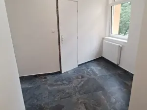 Pronájem bytu 1+1, Plzeň, Stehlíkova, 57 m2