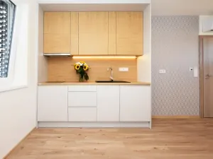 Pronájem bytu 2+kk, Pardubice, Na Hrázi, 33 m2