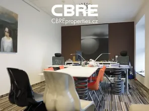 Pronájem kanceláře, Praha - Nové Město, Václavské náměstí, 100 m2